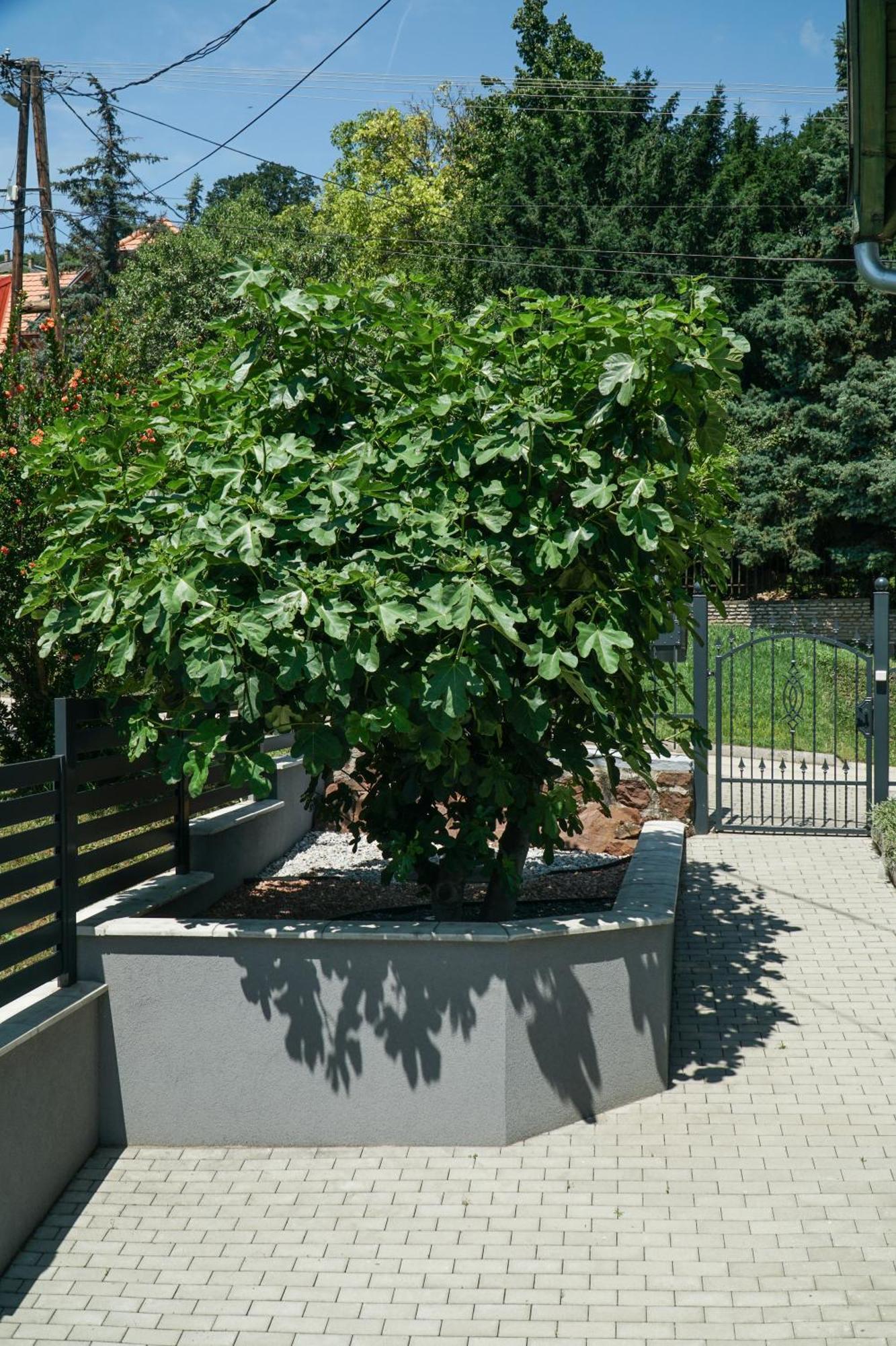 Fuegefa Apartman Balatonalmádi Buitenkant foto